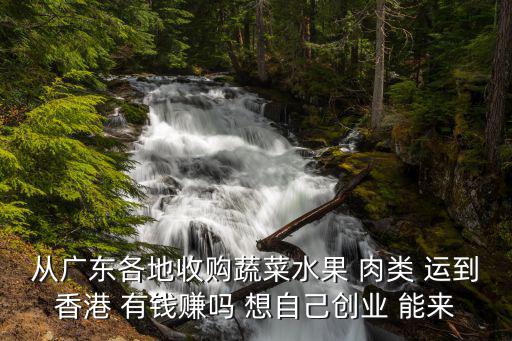 從廣東各地收購蔬菜水果 肉類 運到香港 有錢賺嗎 想自己創業 能來