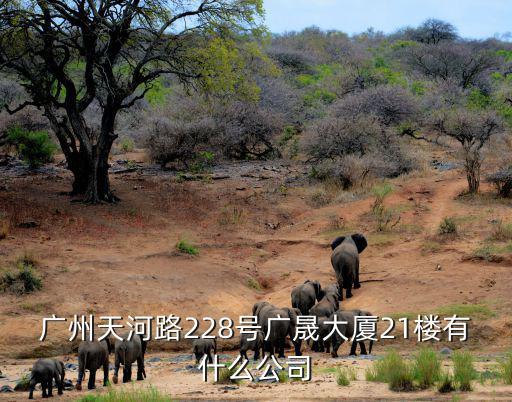 廣州天河路228號(hào)廣晟大廈21樓有什么公司