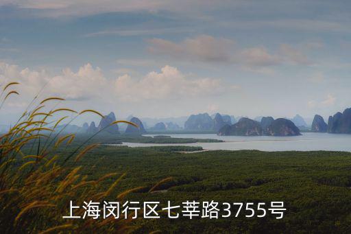 上海閔行區(qū)七莘路3755號