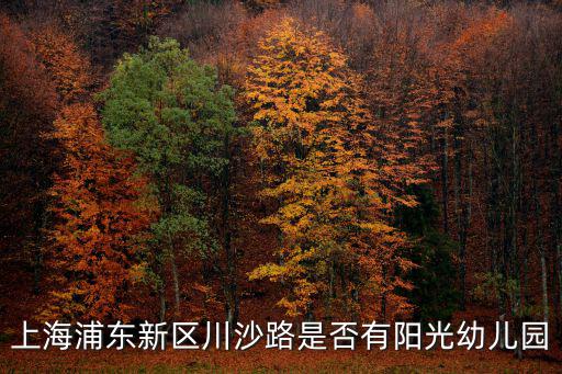 上海浦東新區川沙路是否有陽光幼兒園