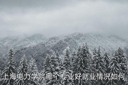 上海電力學(xué)院哪個(gè)專業(yè)好就業(yè)情況如何