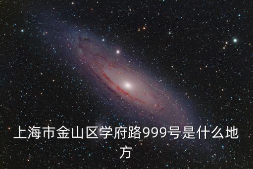 上海市金山區學府路999號是什么地方