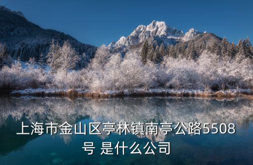 上海市金山區亭林鎮南亭公路5508號 是什么公司