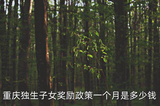 重慶市渝中區(qū)獎勵政策，重慶獨(dú)生子女獎勵政策一個月是多少錢