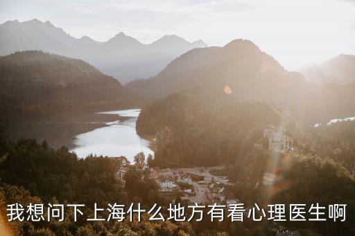 我想問下上海什么地方有看心理醫(yī)生啊
