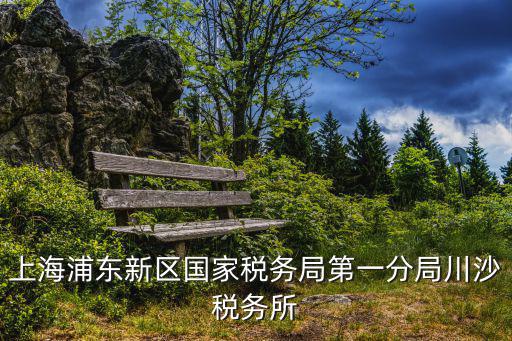 上海浦東新區(qū)國家稅務局第一分局川沙稅務所