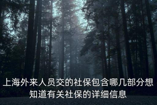 上海外來人員交的社保包含哪幾部分想知道有關(guān)社保的詳細(xì)信息