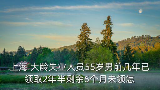 上海 大齡失業人員55歲男前幾年已領取2年半剩余6個月未領怎