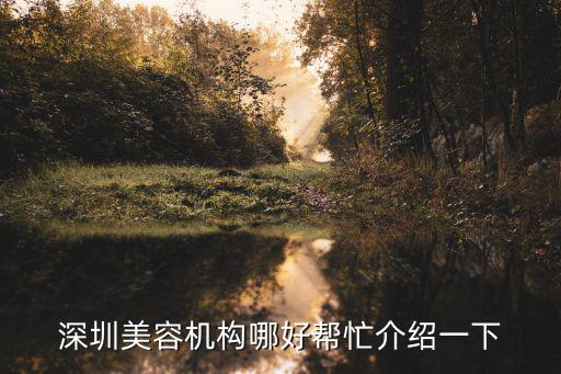 深圳美容機(jī)構(gòu)哪好幫忙介紹一下