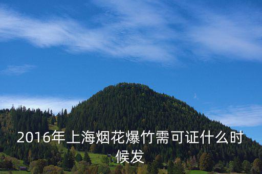 2016年上海煙花爆竹需可證什么時候發(fā)