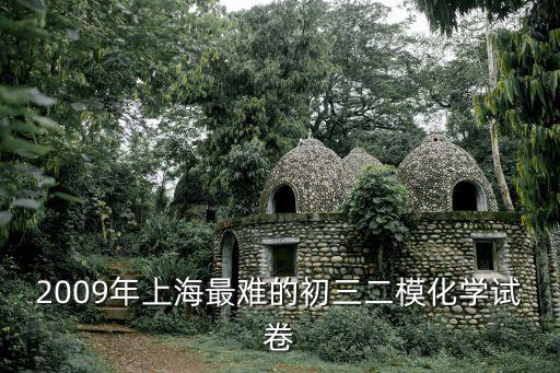 2009年上海最難的初三二模化學(xué)試卷