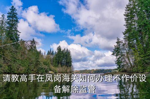 請教高手在鳳崗海關如何辦理不作價設備解除監管