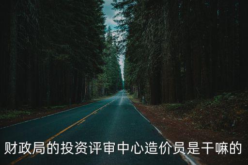 財(cái)政局的投資評(píng)審中心造價(jià)員是干嘛的