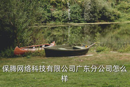 保騰網(wǎng)絡科技有限公司廣東分公司怎么樣