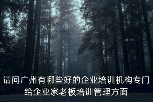 廣州企業培訓機構名單，請問廣州有哪些好的企業培訓機構專門給企業家老板培訓管理方面