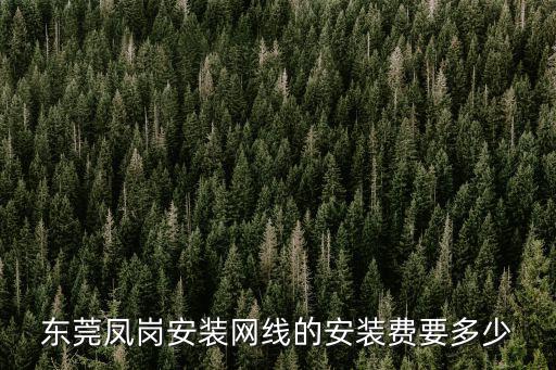 東莞鳳崗安裝網線的安裝費要多少