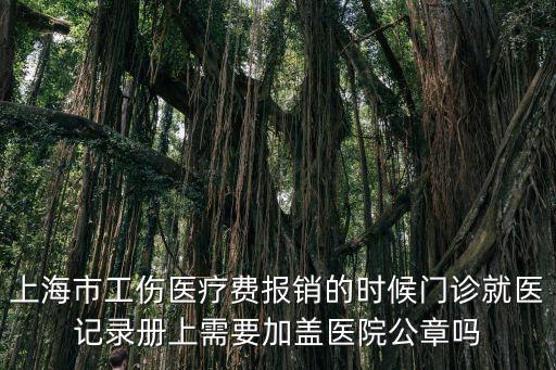 上海市就醫(yī)手冊(cè)，上海自己交的社保 有社保卡是不是還有領(lǐng)取就醫(yī)記錄冊(cè)