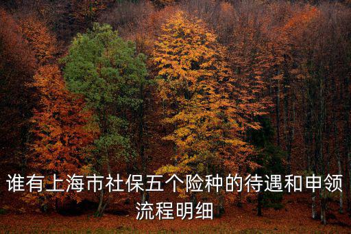 誰有上海市社保五個險種的待遇和申領流程明細