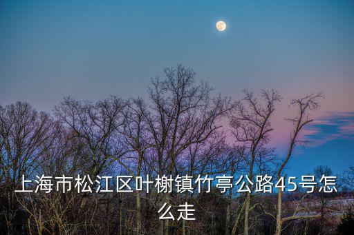 上海市松江區葉榭鎮竹亭公路45號怎么走