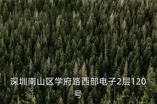 深圳南山區(qū)學府路西部電子2層120號