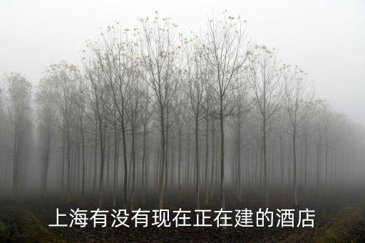 上海有沒有現在正在建的酒店
