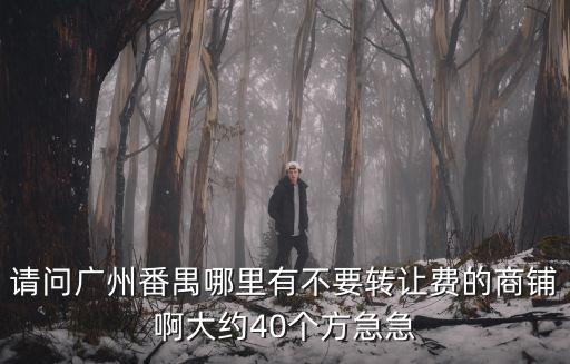 請問廣州番禺哪里有不要轉讓費的商鋪啊大約40個方急急