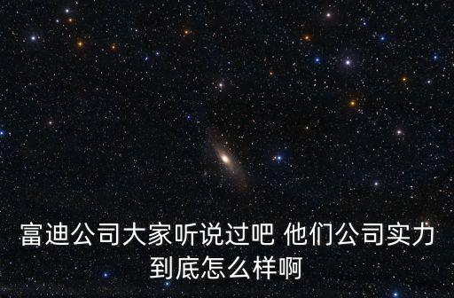 富迪公司大家聽說過吧 他們公司實(shí)力到底怎么樣啊