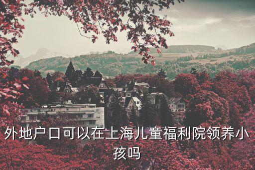 外地戶口可以在上海兒童福利院領(lǐng)養(yǎng)小孩嗎