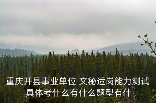 重慶市園區(qū)領(lǐng)導(dǎo)小組，重慶私家車報(bào)廢補(bǔ)貼在哪里辦理
