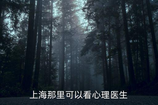 上海那里可以看心理醫(yī)生