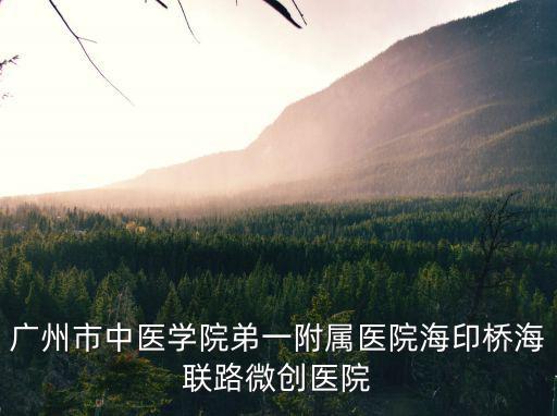 廣州市中醫學院弟一附屬醫院海印橋海聯路微創醫院