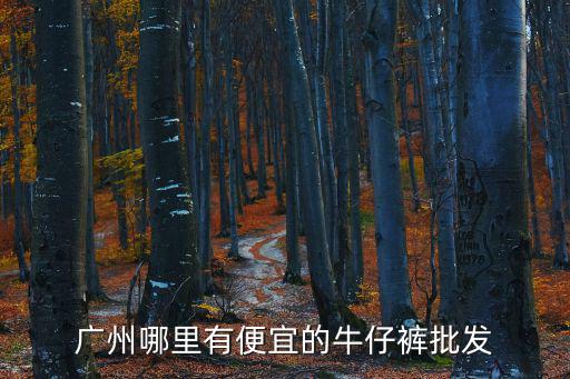 廣州哪里有便宜的牛仔褲批發