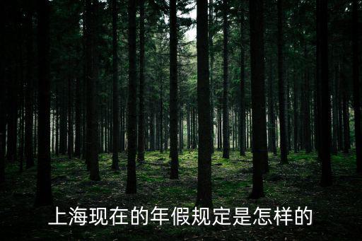 上海現在的年假規定是怎樣的