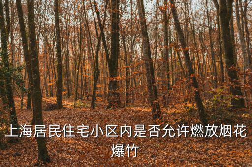 上海市煙花燃放要求，上海10月1號晚上外灘會放煙花嗎