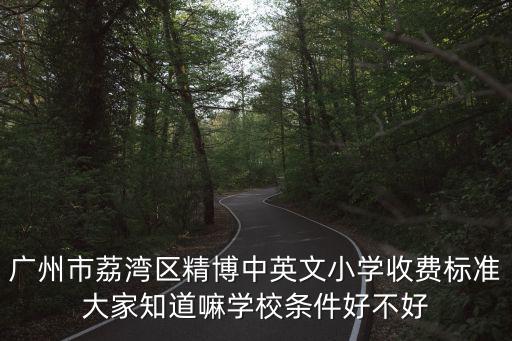 廣州市荔灣區(qū)精博中英文小學收費標準大家知道嘛學校條件好不好