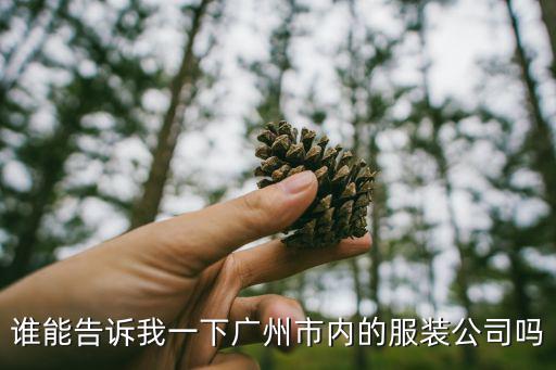 廣州市紅七服飾有限公司，廣州市三元里大道北棠溪工業(yè)區(qū)60棟三樓服裝公司叫什么名字