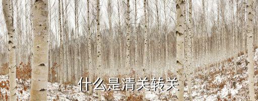 什么是清關轉關