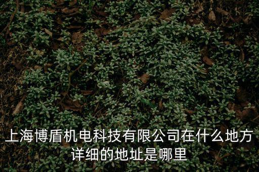 上海博盾機電科技有限公司在什么地方詳細的地址是哪里