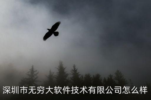 深圳市無窮大軟件技術(shù)有限公司怎么樣
