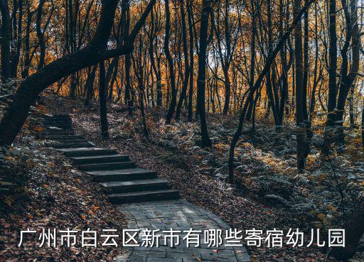 廣州市白云區(qū)新市有哪些寄宿幼兒園