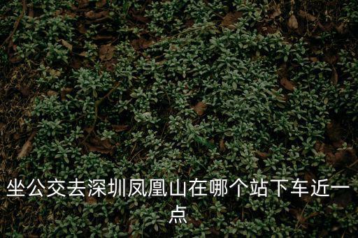 深圳冶金大廈去鳳凰山公交怎么坐，請問在深圳去鳳凰山在那個公交站下車比較近呢