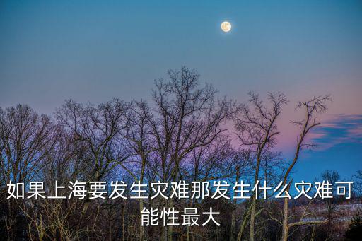 如果上海要發生災難那發生什么災難可能性最大