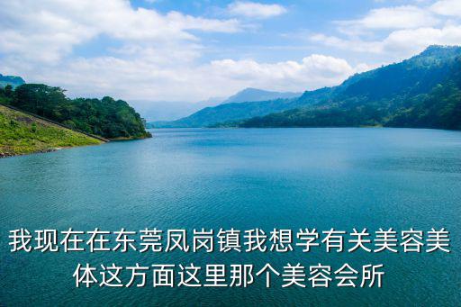 我現在在東莞鳳崗鎮我想學有關美容美體這方面這里那個美容會所