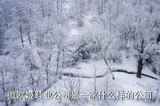 微歐姬鞋業(yè)公司是一家什么樣的公司