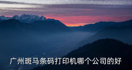 廣州斑馬條碼打印機哪個公司的好