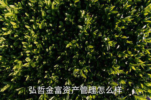 弘哲金富資產管理怎么樣