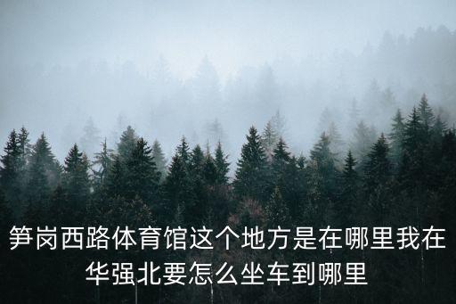 筍崗西路體育館這個地方是在哪里我在華強北要怎么坐車到哪里