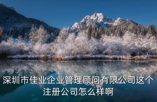 深圳市佳業(yè)企業(yè)管理顧問有限公司這個(gè)注冊(cè)公司怎么樣啊