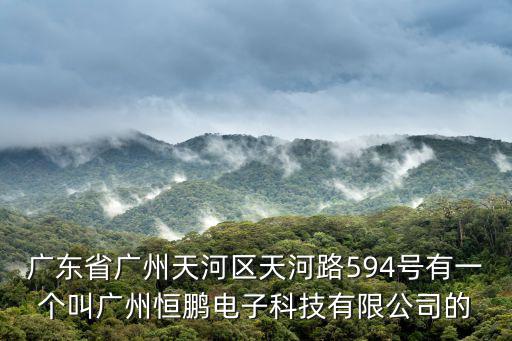 廣東省廣州天河區天河路594號有一個叫廣州恒鵬電子科技有限公司的