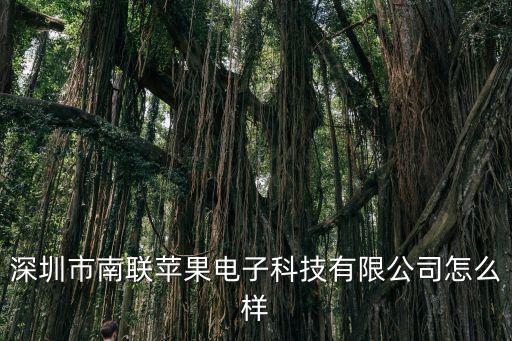 深圳市南聯(lián)蘋果電子科技有限公司怎么樣